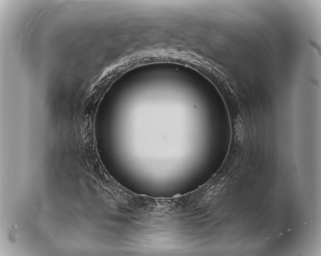 X0000103291494200808291322