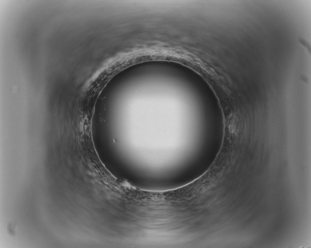 X0000103291495200808291322