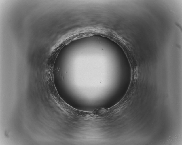 X0000103291496200808291322