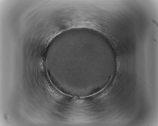 X0000103291497200808291322