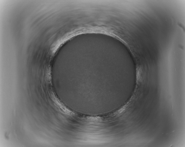 X0000103291498200808291322