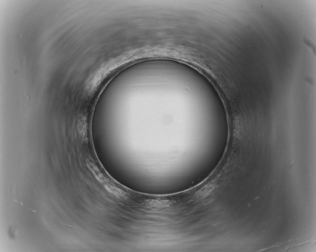 X0000103291499200808291322