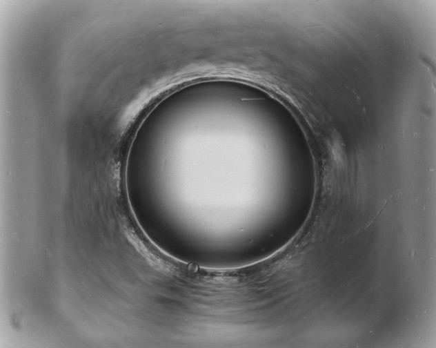 X0000103291503200808291322