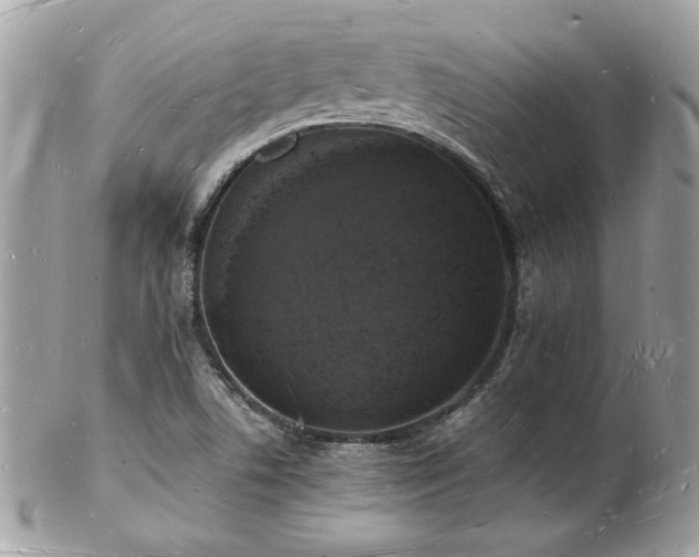 X0000103291506200808291322