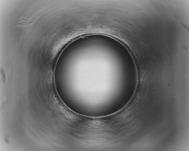 X0000103291507200808291322