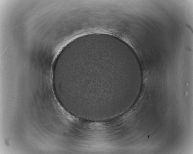 X0000103291508200808291322