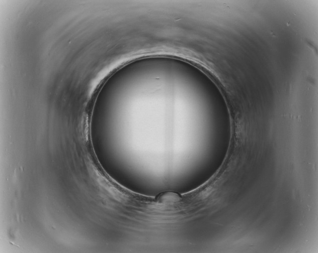 X0000103291510200808291322