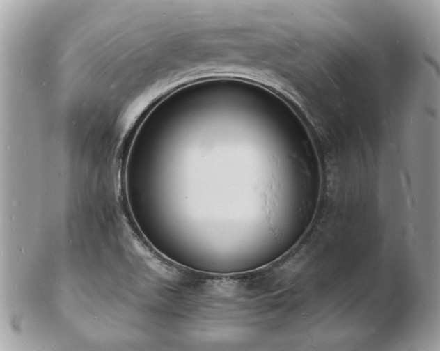 X0000103291511200808291322