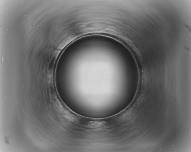 X0000103291513200808291322