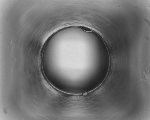 X0000103291518200808291322