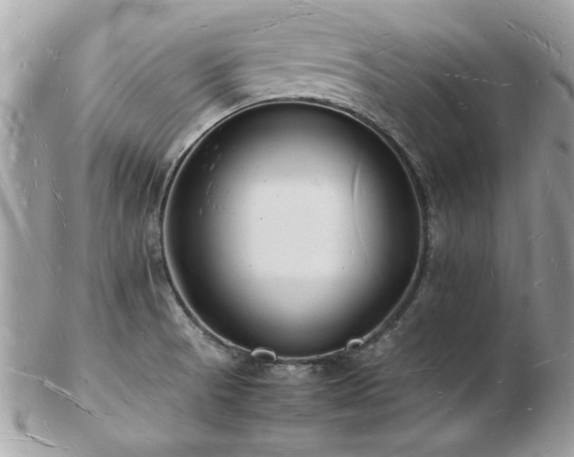 X0000103291521200808291322