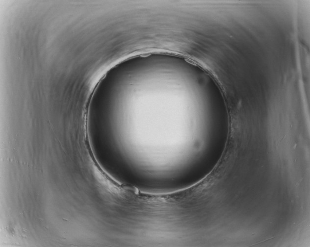 X0000103291524200808291322