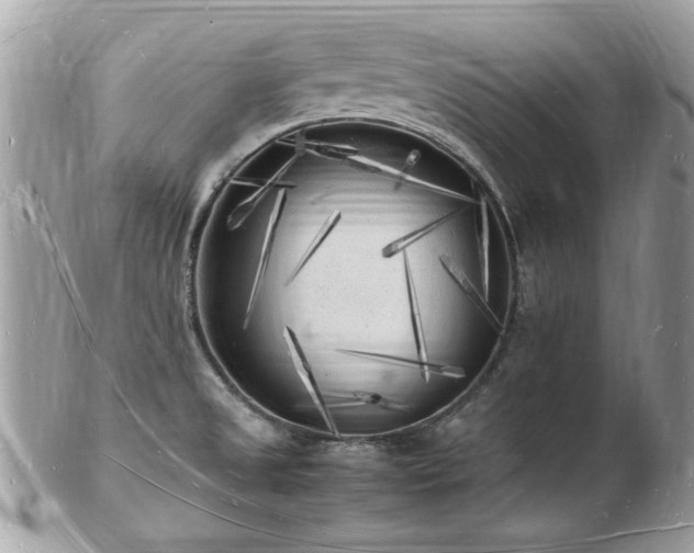 X0000103291525200808291322