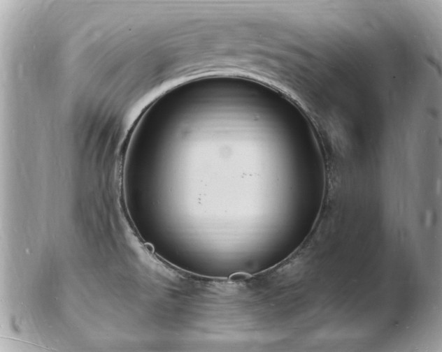 X0000103291526200808291322