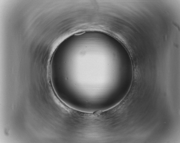 X0000103291528200808291322