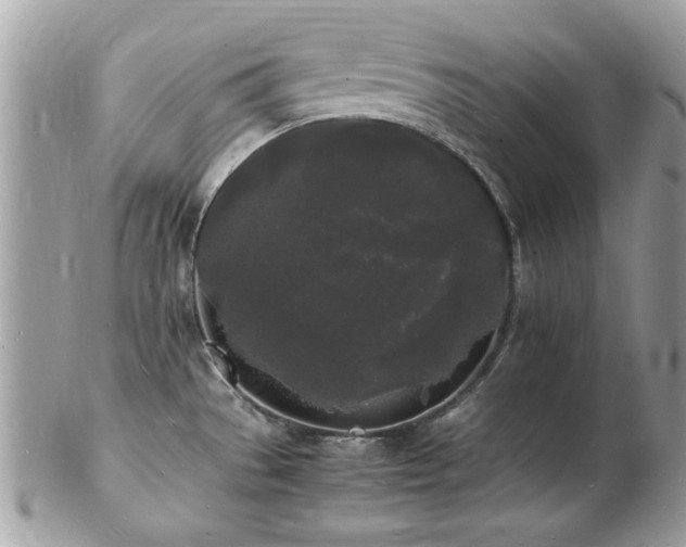 X0000103291529200808291322
