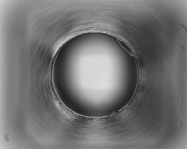 X0000103291530200808291322