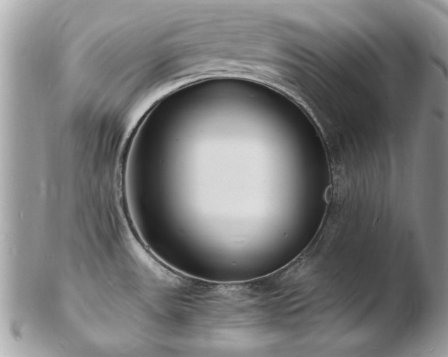 X0000103291531200808291322