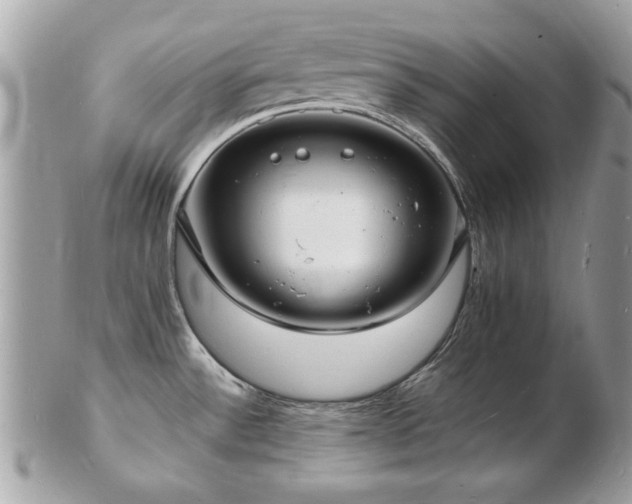 X0000103291532200808291322