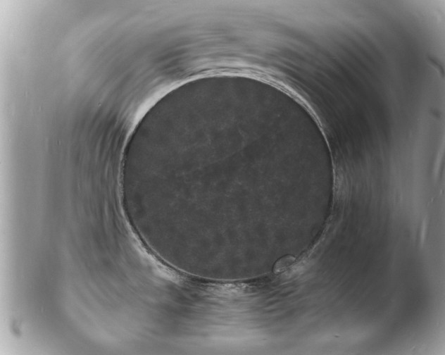 X0000103291533200808291322