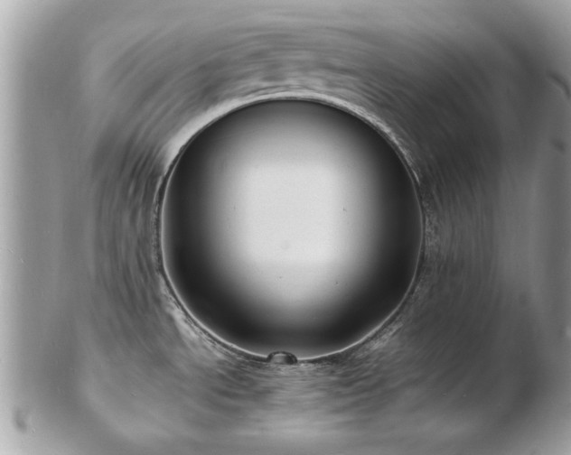 X0000103291534200808291322