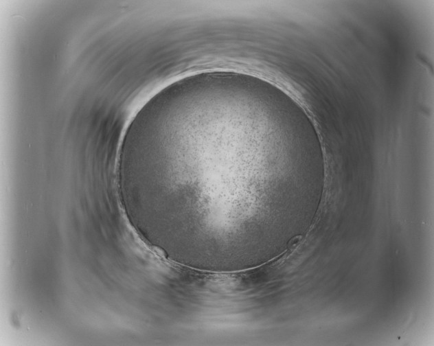 X0000103291536200808291322