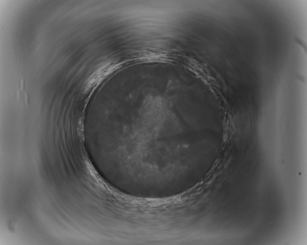 X0000103290002200809051510