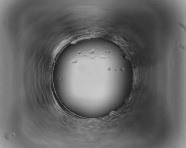 X0000103290003200809051510