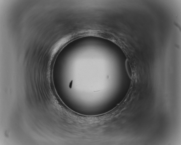 X0000103290006200809051510