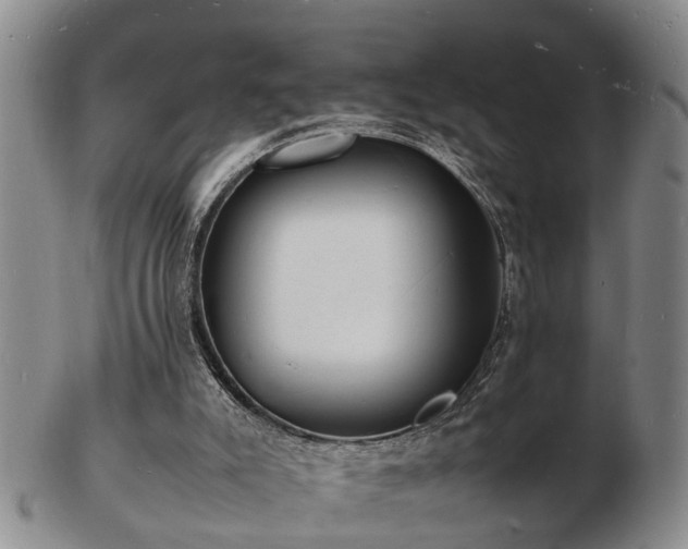 X0000103290007200809051510