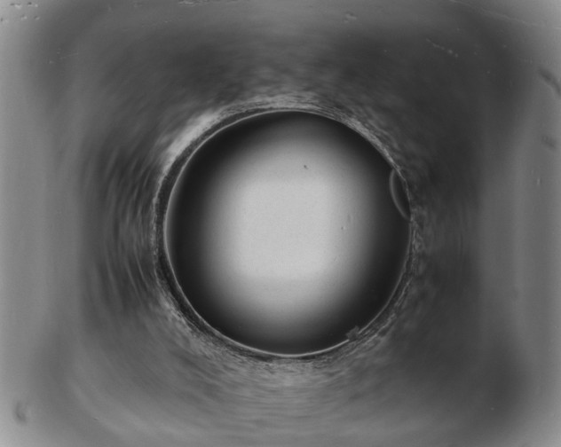 X0000103290008200809051510