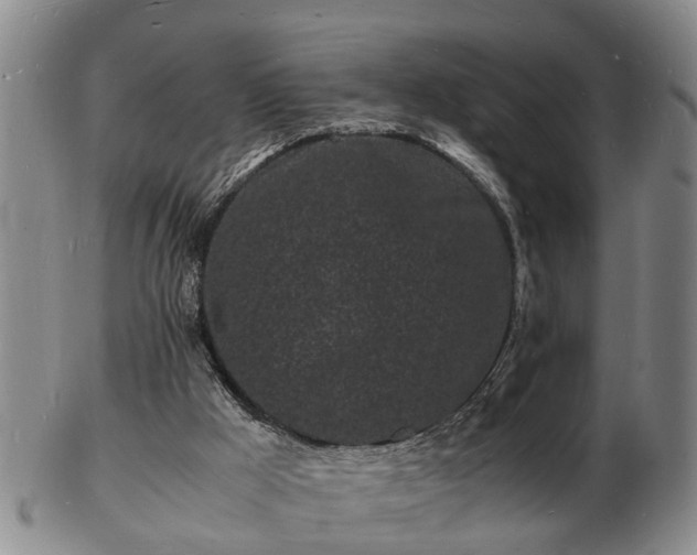 X0000103290009200809051510