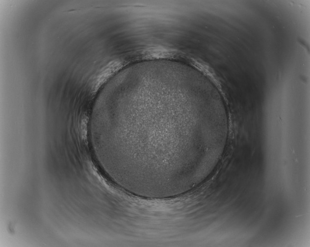 X0000103290010200809051510