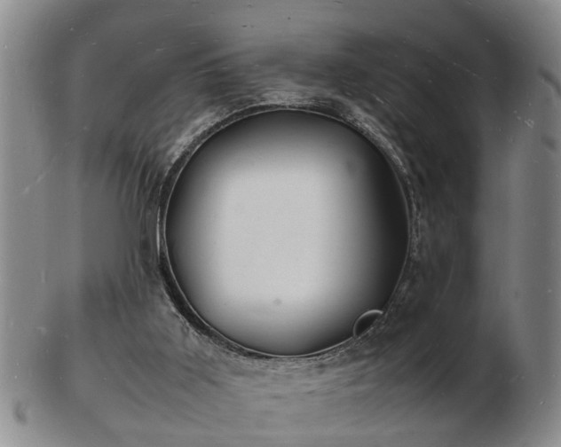 X0000103290011200809051510