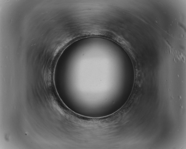 X0000103290012200809051510