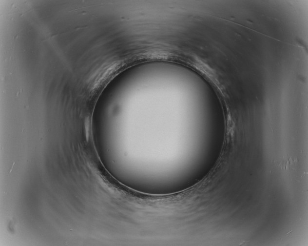 X0000103290013200809051510