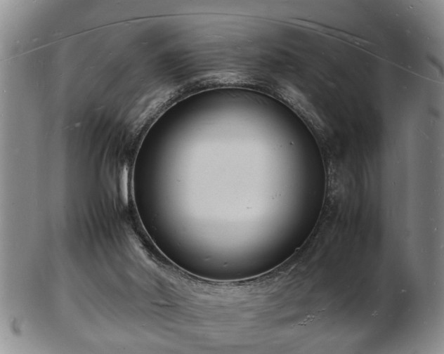 X0000103290014200809051510