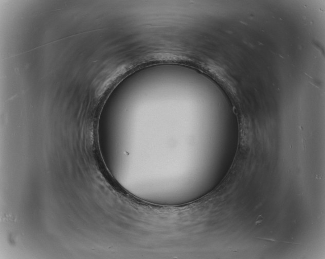 X0000103290015200809051510