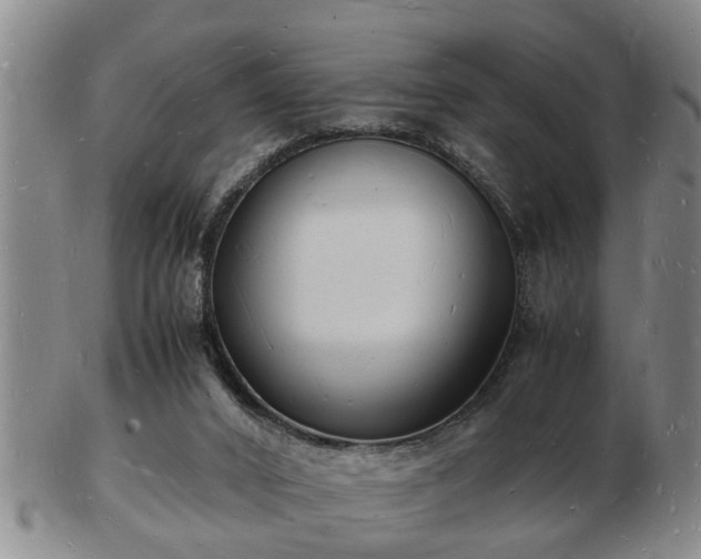 X0000103290016200809051510