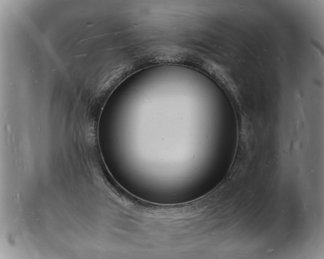 X0000103290017200809051510