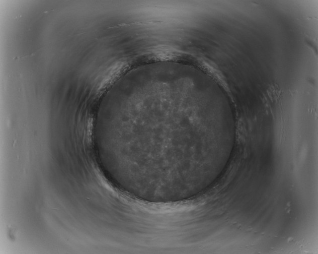 X0000103290018200809051510