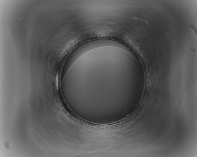 X0000103290019200809051510