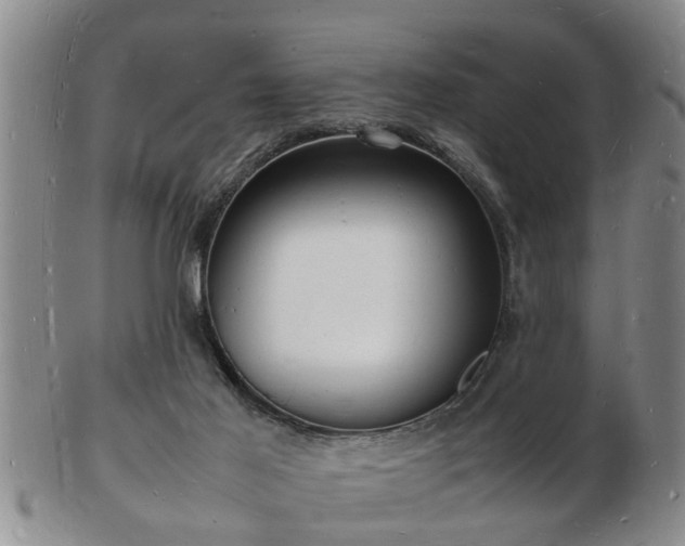 X0000103290021200809051510