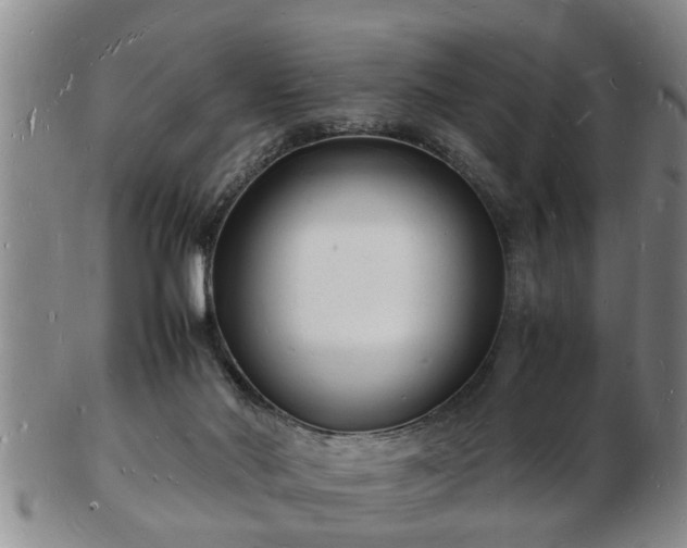 X0000103290022200809051510