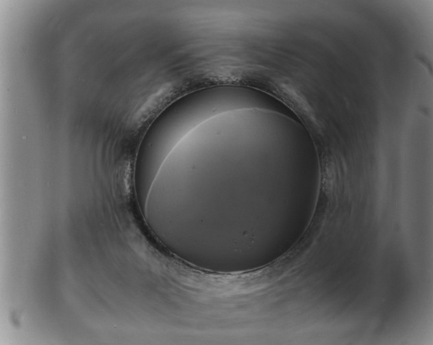 X0000103290023200809051510