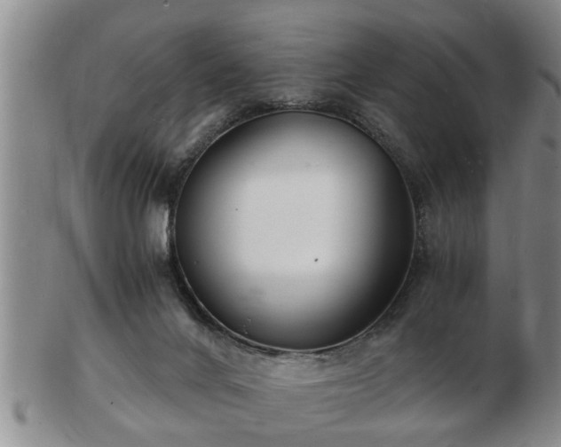 X0000103290024200809051510