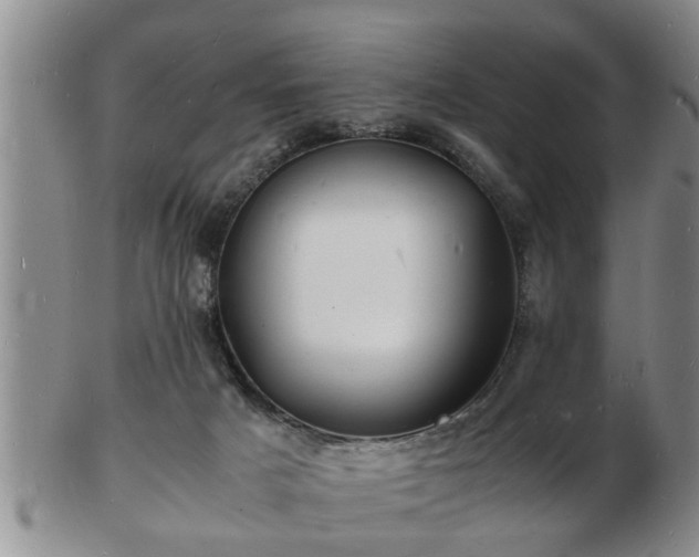 X0000103290025200809051510