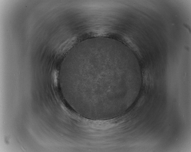 X0000103290026200809051510