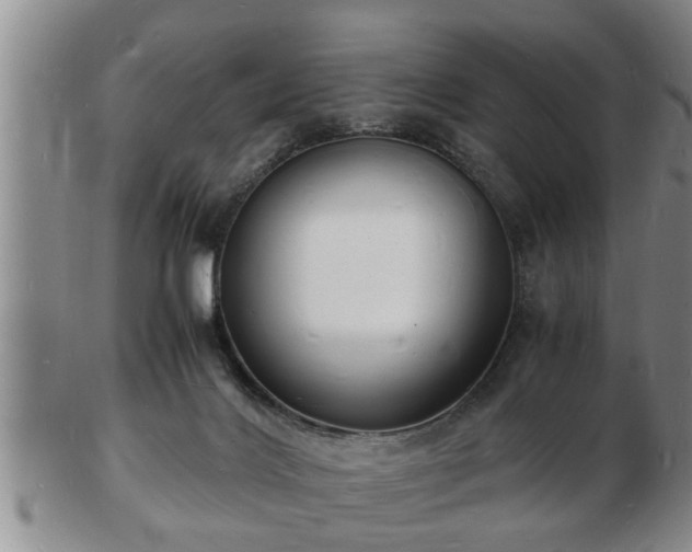 X0000103290028200809051510