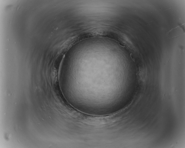 X0000103290029200809051510